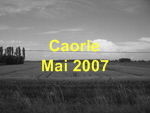 caorle_mai_07_small